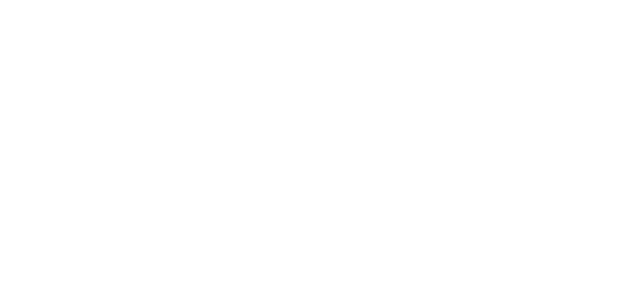 Blis by T-Mobile Advertising Solutions